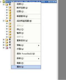 在线网校v5教程 程序数据库安装说明 手工还原数据库图文说明 安装方法2