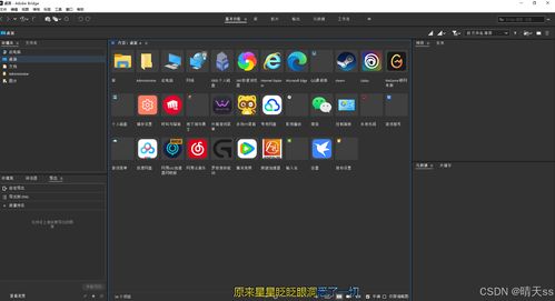 adobe br 软件下载和安装步骤